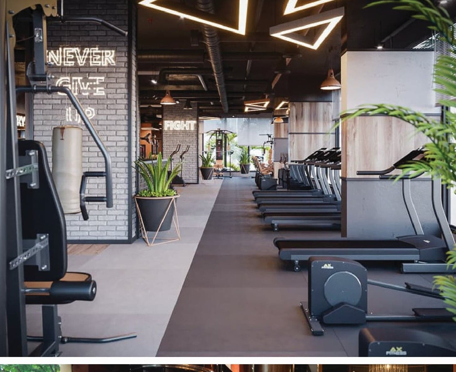 EcoPalace – Gym & Spa Cao Cấp